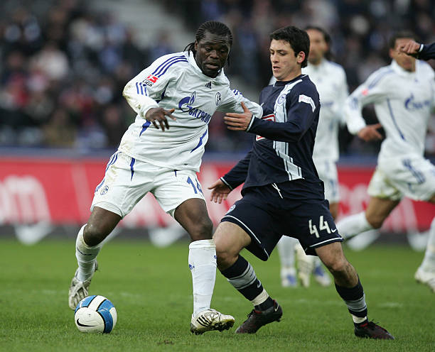 动态总能引 动态总能引